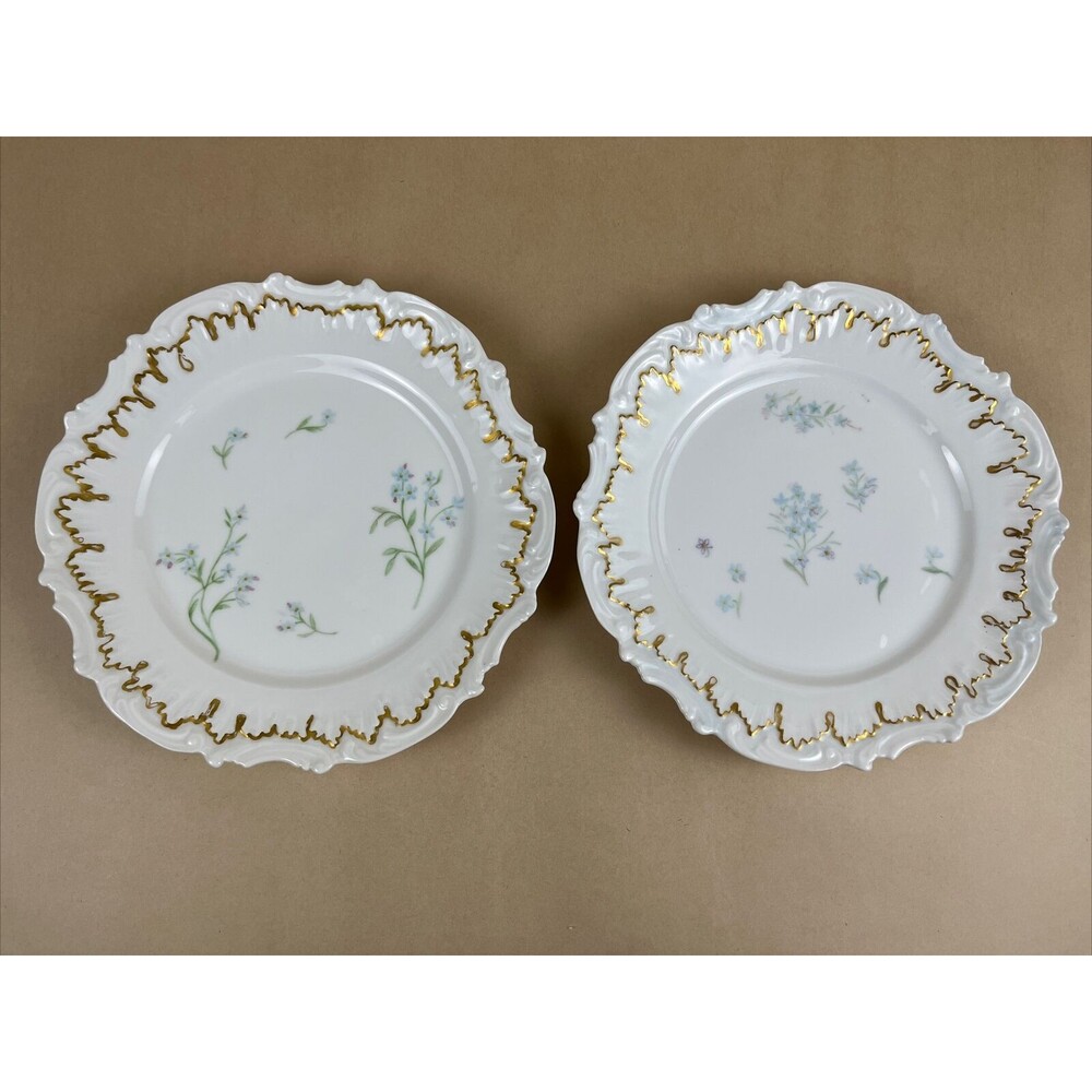 VTG Rare 2 Of Limoges Scalloped Hand Painted Floral Plate8.5" Golden Trim France